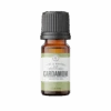 CARDAMOM | 10 Ml 2 CARDAMOM | 10 Ml -Rowe Casa Organics Shop 10 ml Essential Oil CARDAMOM Product remove bg ec1ea772 220f 448f b46f 397a62567d0a