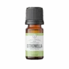 CITRONELLA | 10 Ml