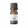 PINE | 10 Ml 2 PINE | 10 Ml -Rowe Casa Organics Shop 10 ml Essential Oil PINE Product remove bg